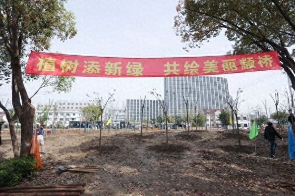 颛桥镇2025年春季植树活动震撼来袭！250余株新绿如何改变城市未来？