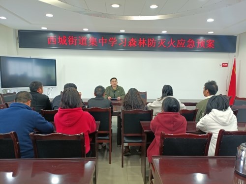 西城街道强化森林草原防火意识!3·30警示日做了啥?  第2张