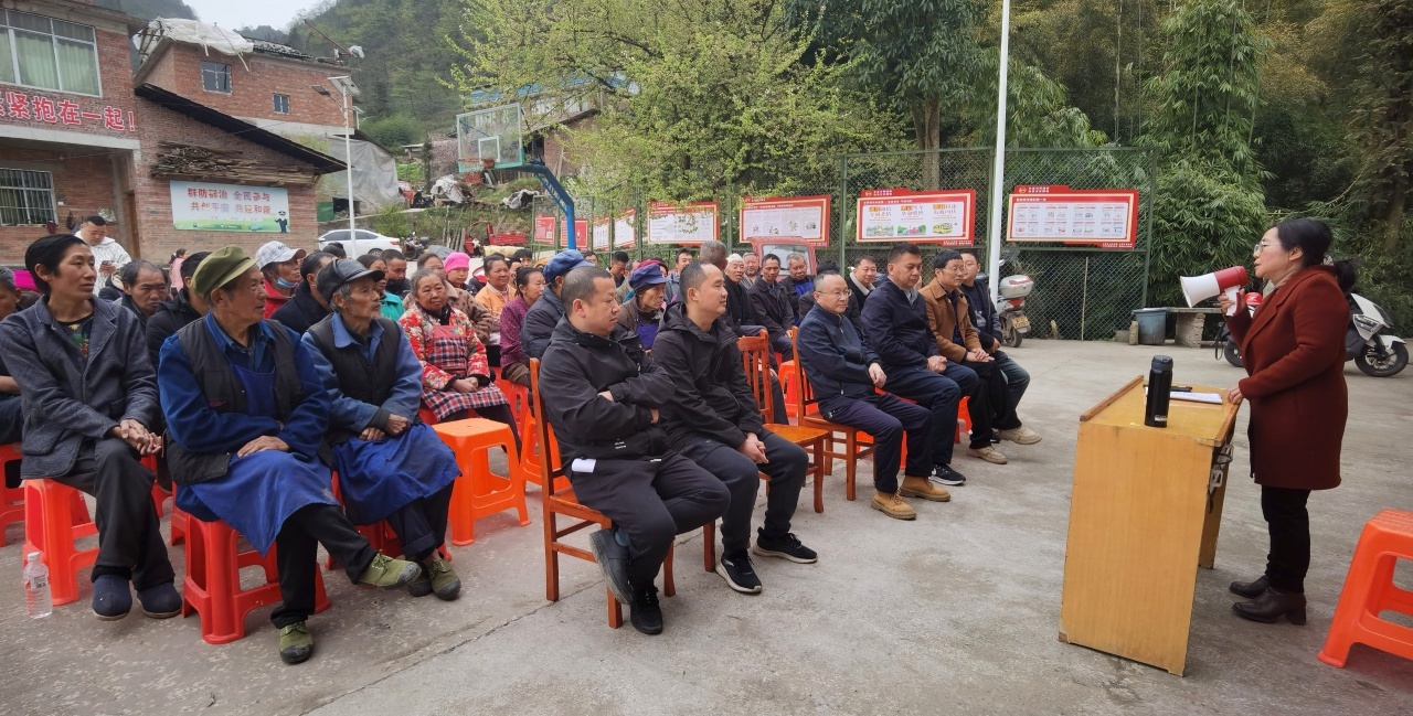 云南水富市竹农迎来科技大餐！专家现场定制种植技术，你还在等什么？  第2张