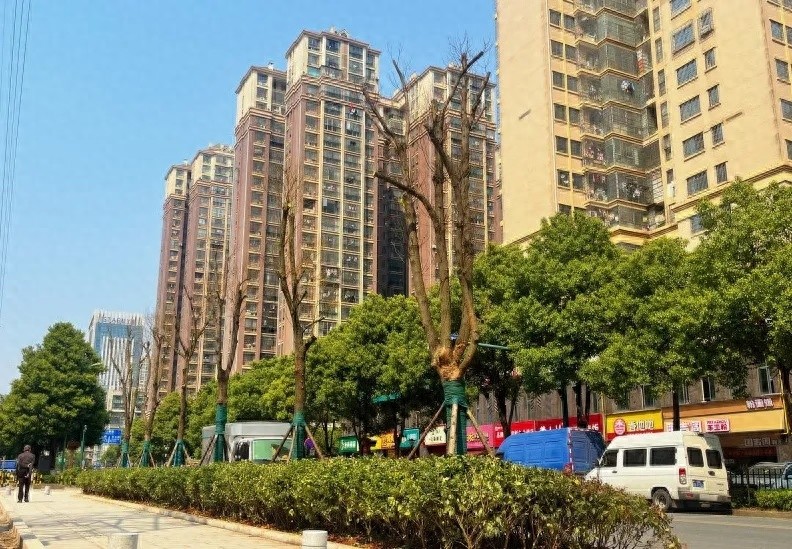 昔日城市伤疤如今成幸福纽带，小塘路怎么做到的？