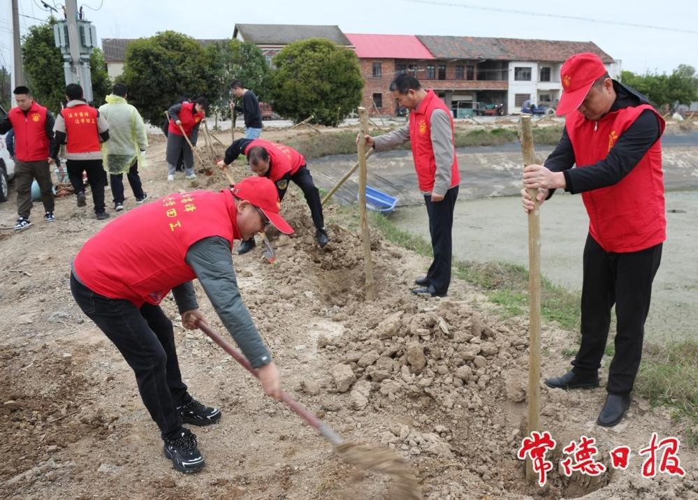 ?武陵区应急管理局植树活动!全员干劲十足背后的动力是啥?