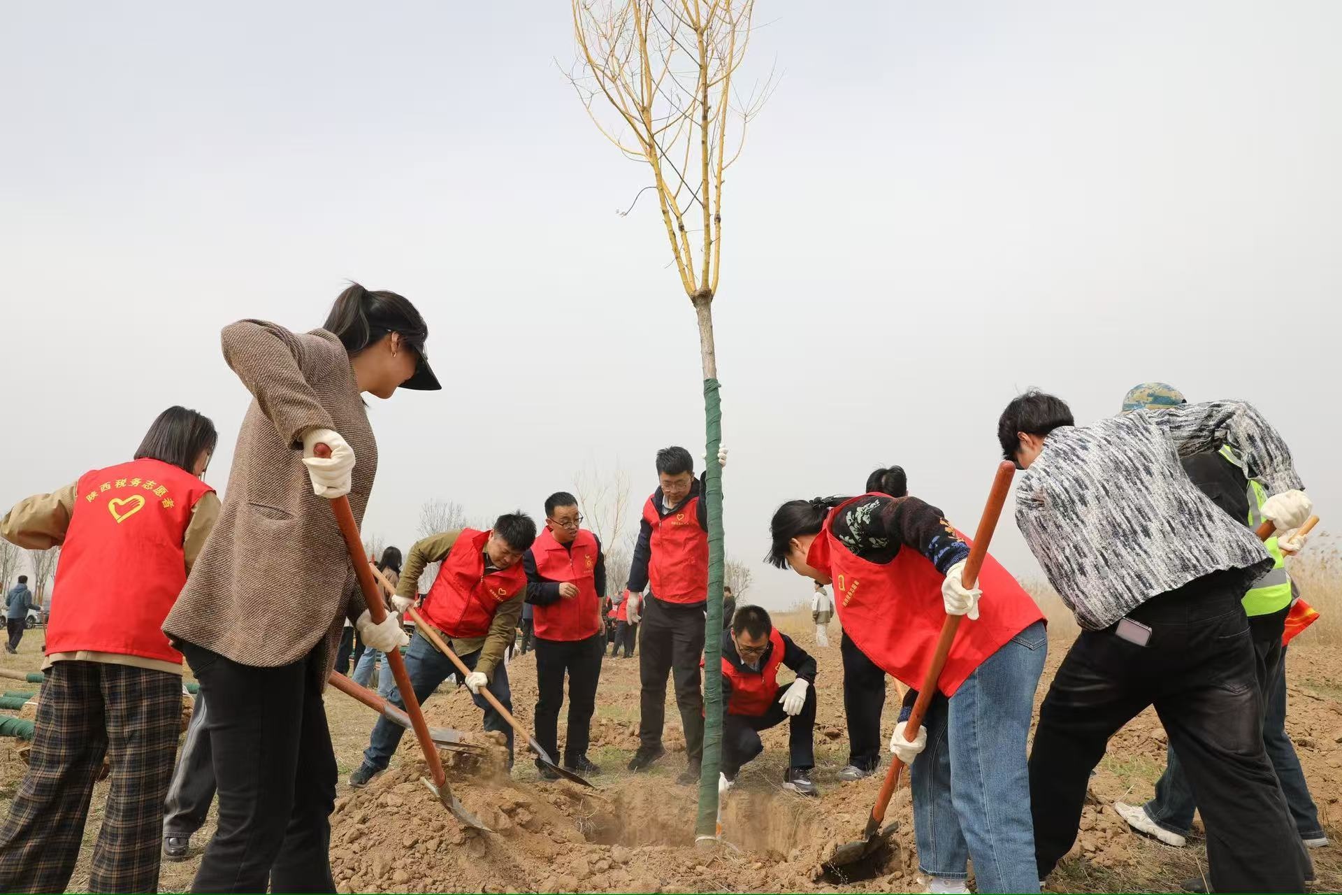 近百名青年职工齐聚湿地公园！学雷锋植树护绿兼联谊发生了啥？  第2张