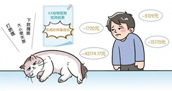 猫咪生病，买家拒退换花6万治，法院为何只判赔部分？