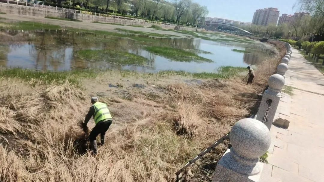 12名专业人员组成突击小队！榆社县东河河道治理行动究竟啥情况？