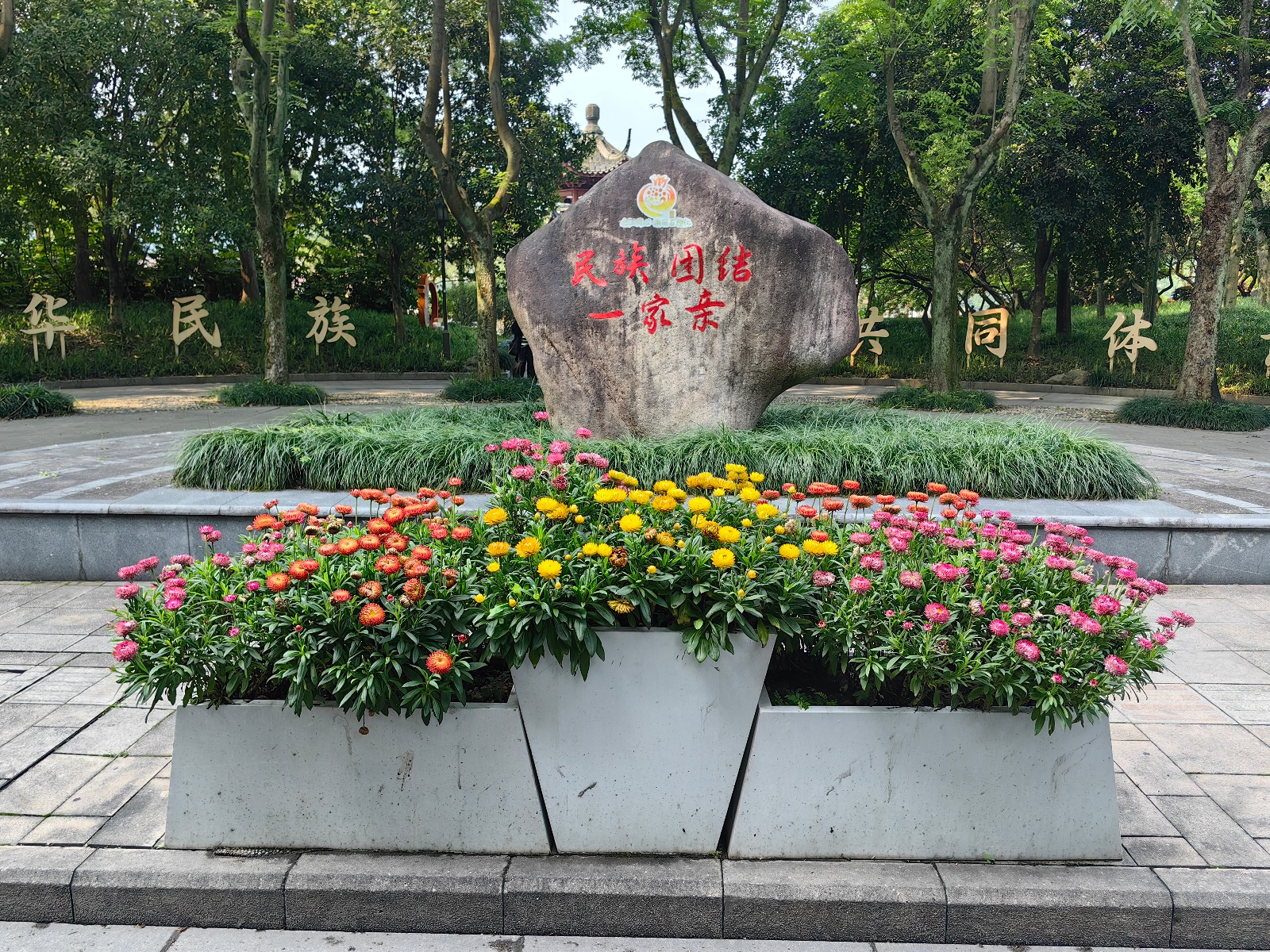 2025年五一丽水市草花景观大揭秘？月季绣球等花卉超惊艳  第4张