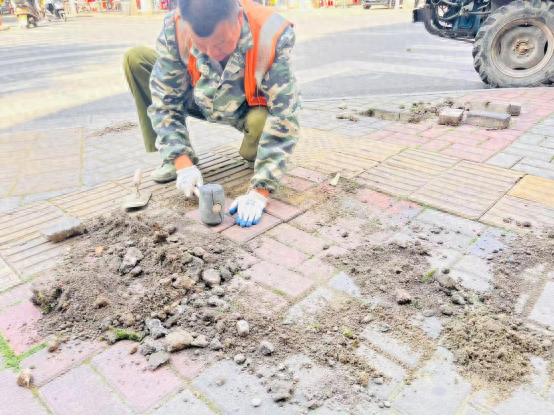 市政处全面排查整改！道路、路灯、排水安全隐患大整治？