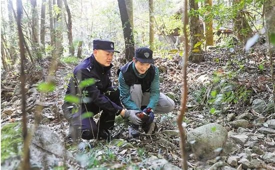 2025年5月1日钱江源园区惊现多样物种！守护队春季巡护大揭秘？  第2张