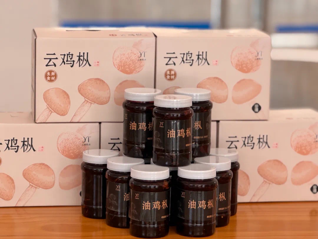 珍稀云鸡枞在永胜县涛源镇试种成功？这产业范本绝了  第5张