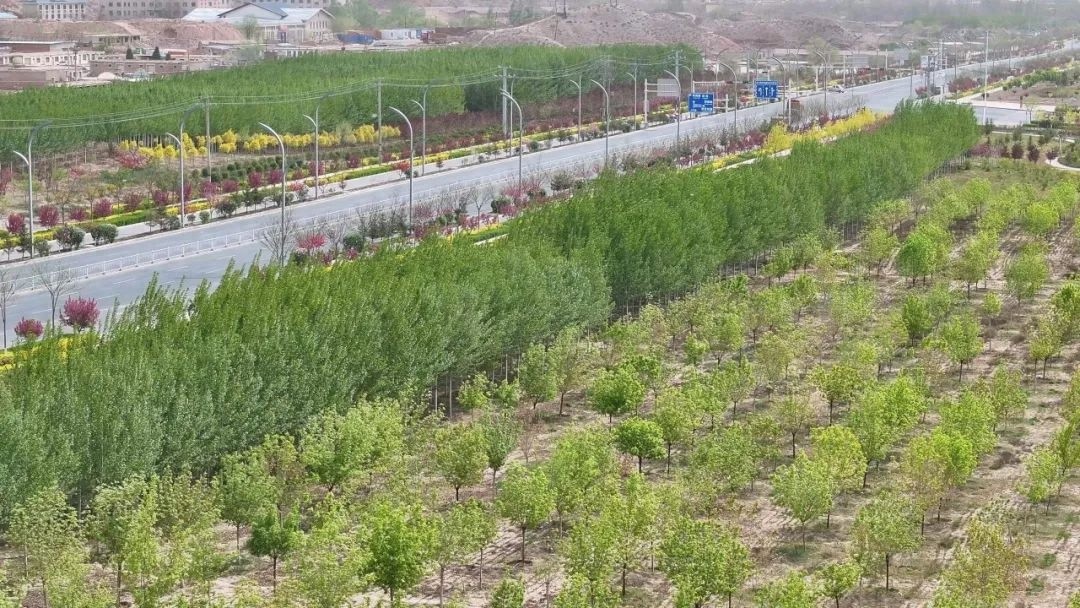 春暖大地绿染铜城！白银区这场生态变革究竟有多震撼？