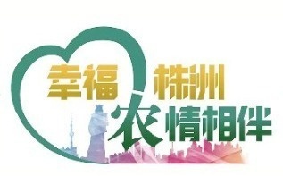 跨越千里的温情：农行员工北上天津，为八旬老人解决社保卡难题