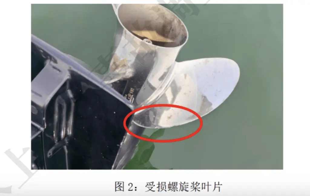 惊魂一刻！大连游艇倒车意外，潜水爱好者命丧螺旋桨，事故真相令人震惊  第2张