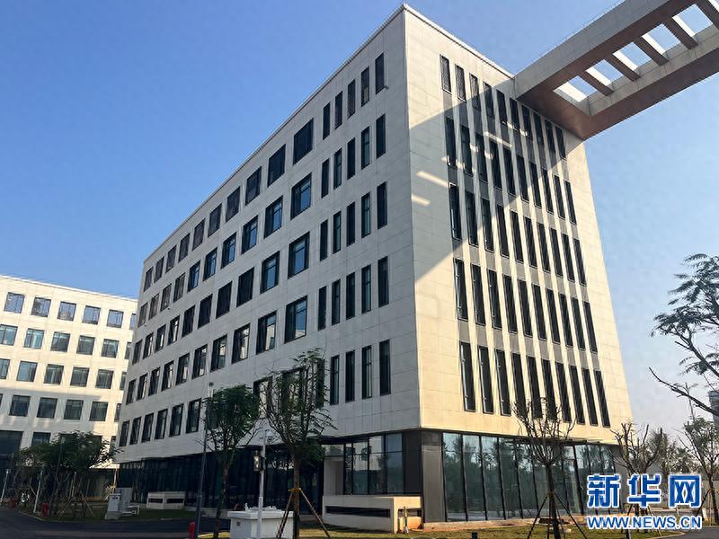 海口海关封关运行保障项目荣获海南省2024年度建筑施工优质结构工程奖，3个单体工程脱颖而出  第1张