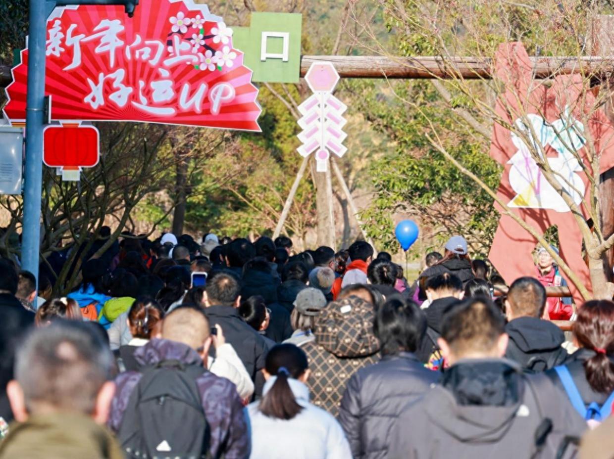 2025浙江海盐南北湖迎新登高奇妙会：5.2公里祈福之路，4个打卡点惊喜连连