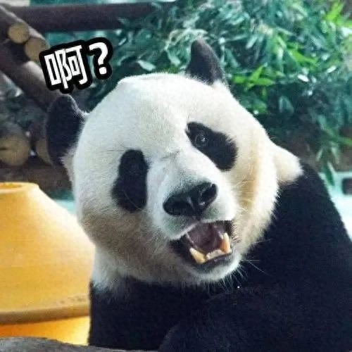 2025年杭州雾霾反复来袭，何时才能消散？最新消息揭晓