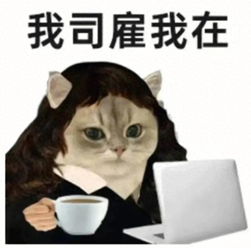 2025年首个工作日，你准备好迎接阿冷的温柔版降温了吗？