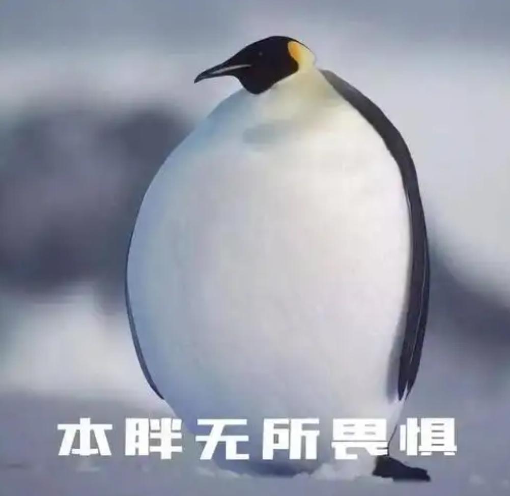 2025年首个工作日，你准备好迎接阿冷的温柔版降温了吗？  第3张