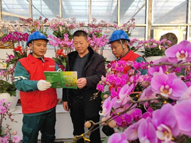 元旦花卉市场火爆！阳信供电公司如何成为护花使者？