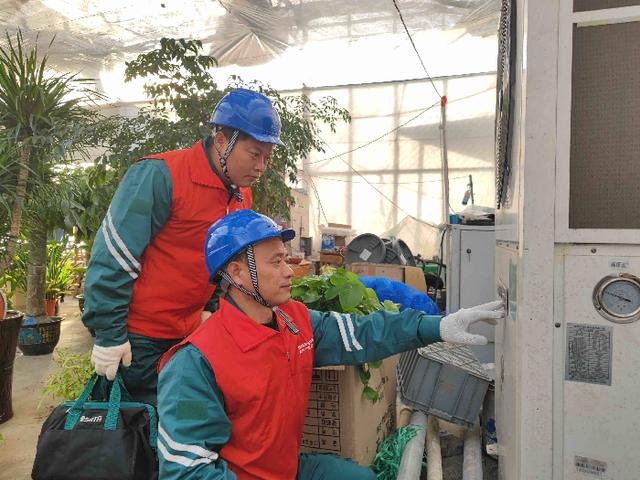 元旦花卉市场火爆！阳信供电公司如何成为护花使者？  第2张