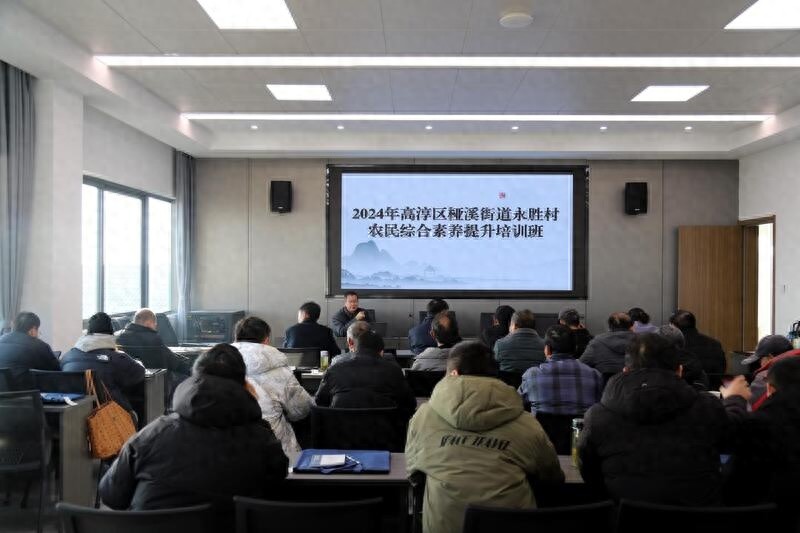 农民如何通过科学培训提升产量与收入？高淳区桠溪街道的培训班揭秘  第1张