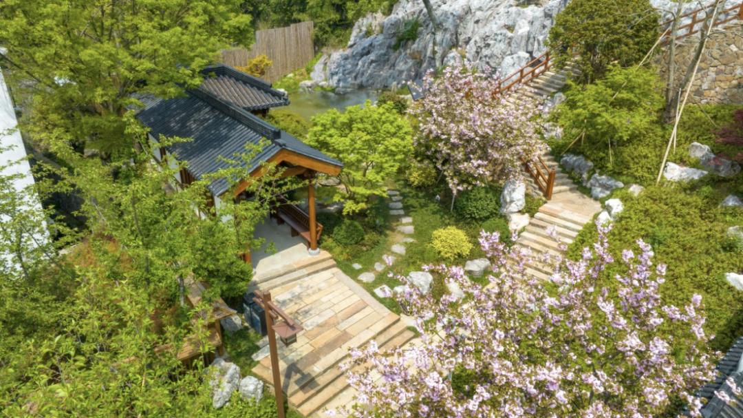 湖州园林绿化新突破！杼山公园和鹿山如何引领资源化革命？  第1张