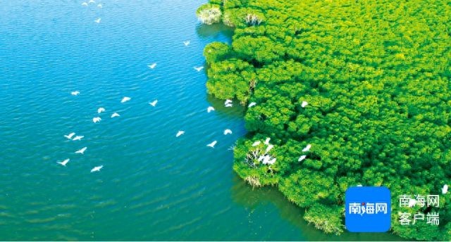 新年第一场旅行去哪儿？129元起畅游海南环岛，感受自然野趣与东坡文化