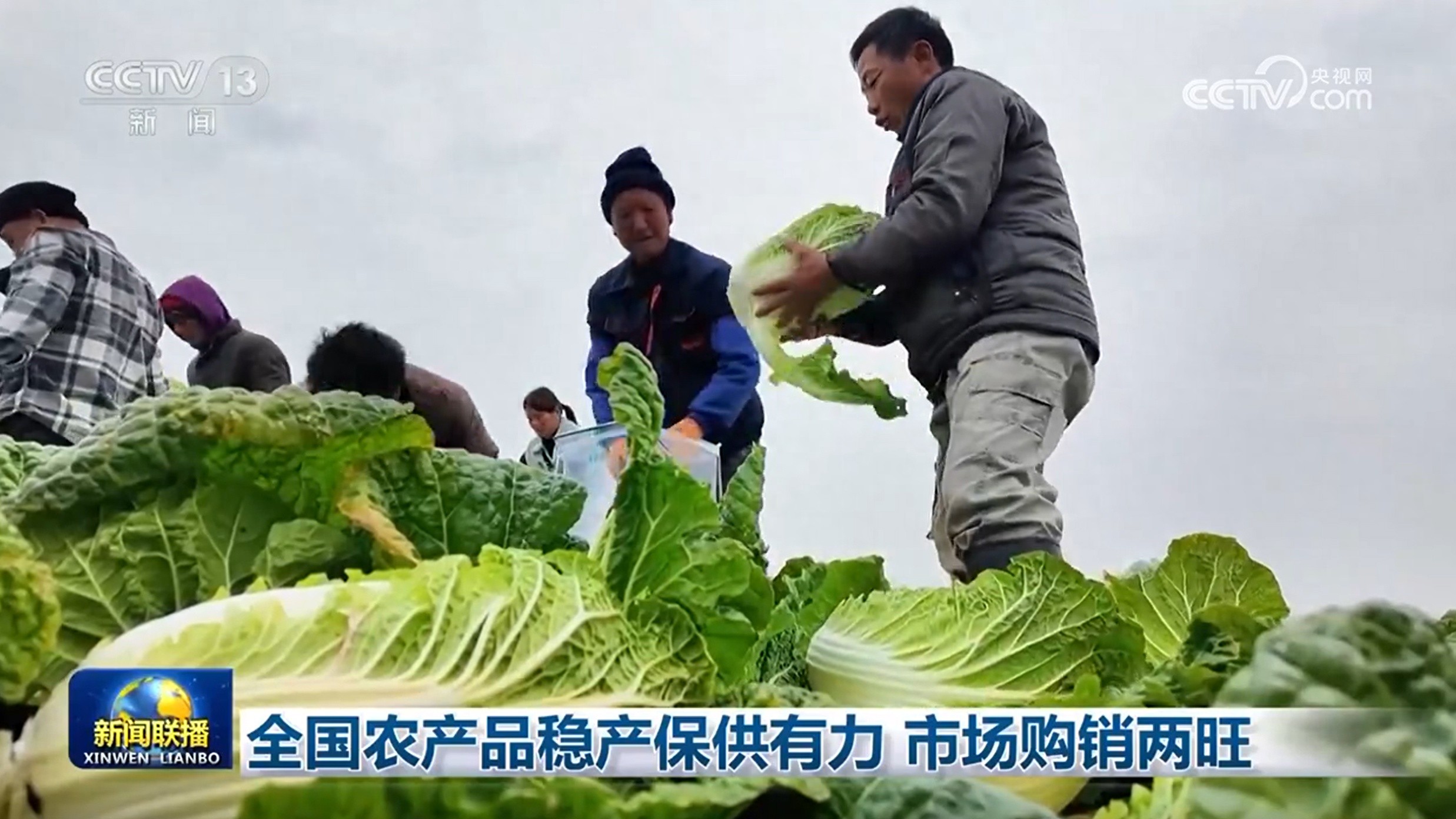 全国蔬菜产量突破2000万吨，你的餐桌安全有保障了吗？