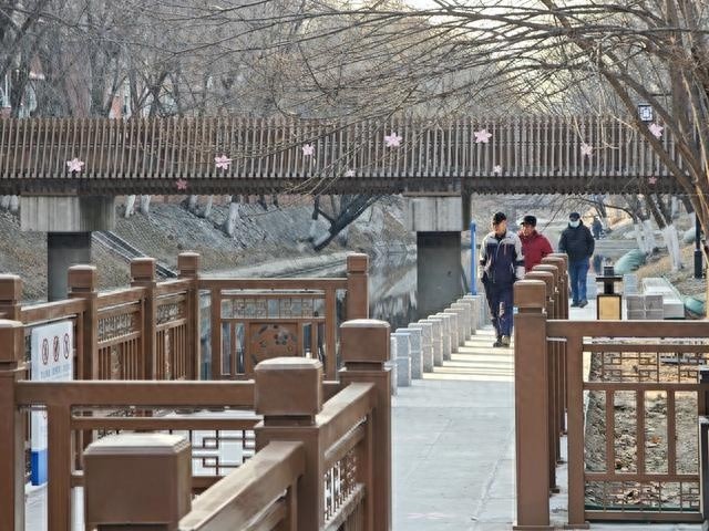 二道沟滨水空间全新升级，十里堡桃花美景等你来打卡