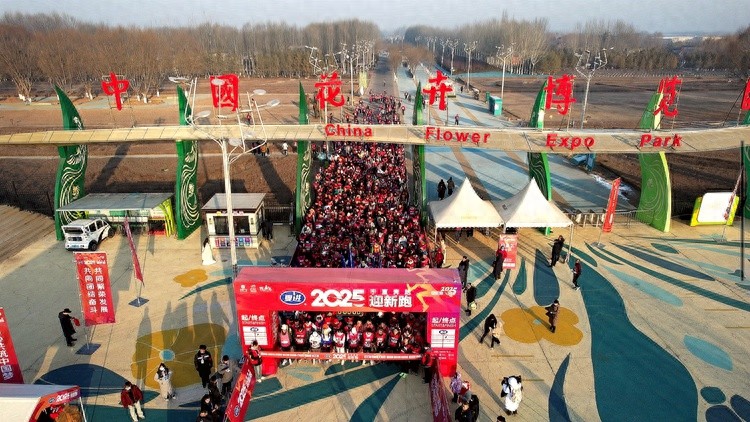 新年第一跑，银川花博园冬日美景为何让人如此心动？