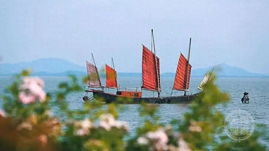 太湖水质历史性突破！20年治太终见成效，你准备好迎接湖光山色了吗？  第1张