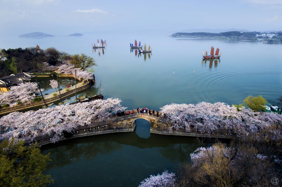 太湖水质历史性突破！20年治太终见成效，你准备好迎接湖光山色了吗？  第4张