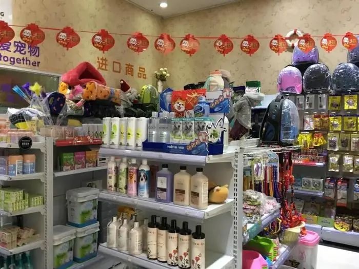 宠物喂养服务爆单！过年期间喂猫遛狗竟能月入万元？  第1张
