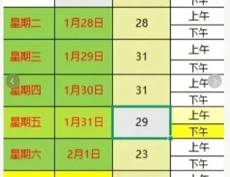 宠物喂养服务爆单！过年期间喂猫遛狗竟能月入万元？  第2张