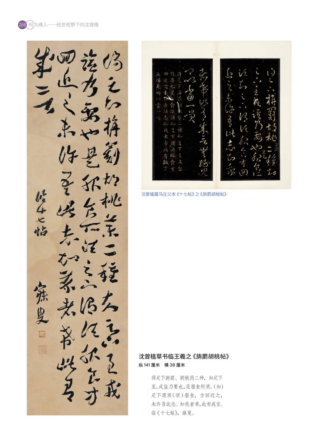 生于道光年间的沈曾植：通人背后的金石学问  第2张