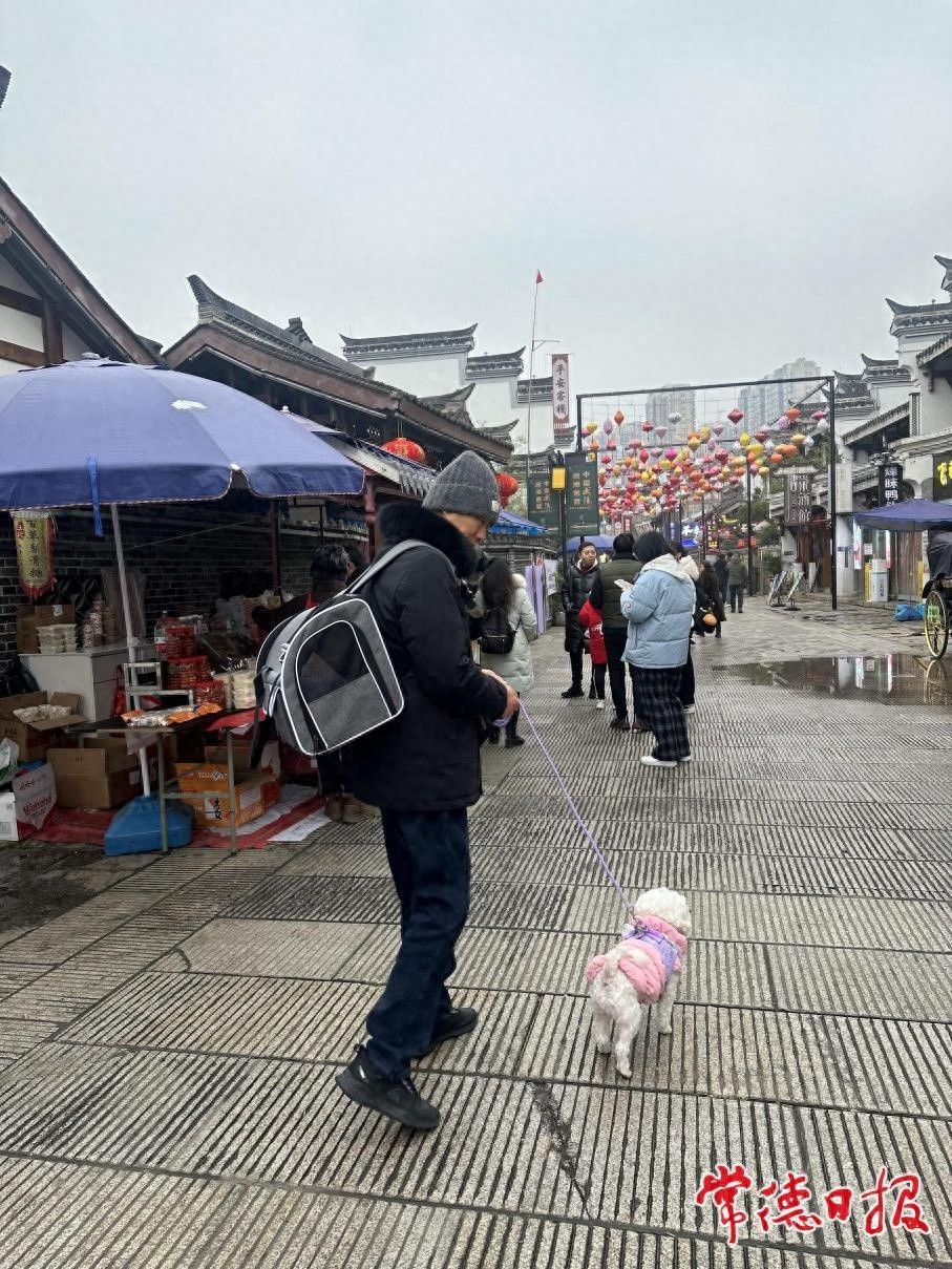 春节假期常德河街：天气不佳热情不减！文明风景线你看到了吗？
