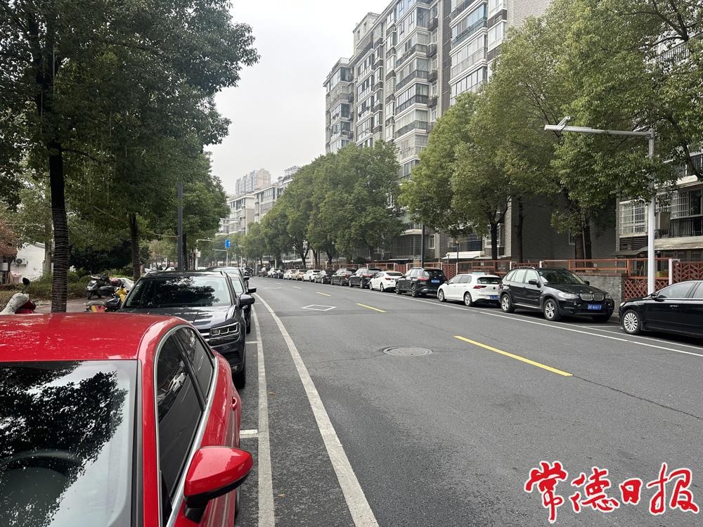 春节假期常德河街:天气不佳热情不减!文明风景线你看到了吗? 第4张 春节假期常德河街:天气不佳热情不减!文明风景线你看到了吗? 第4张