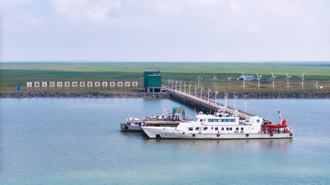 2025年2月2日！九段沙湿地巡展来袭，你会去吗?  第2张