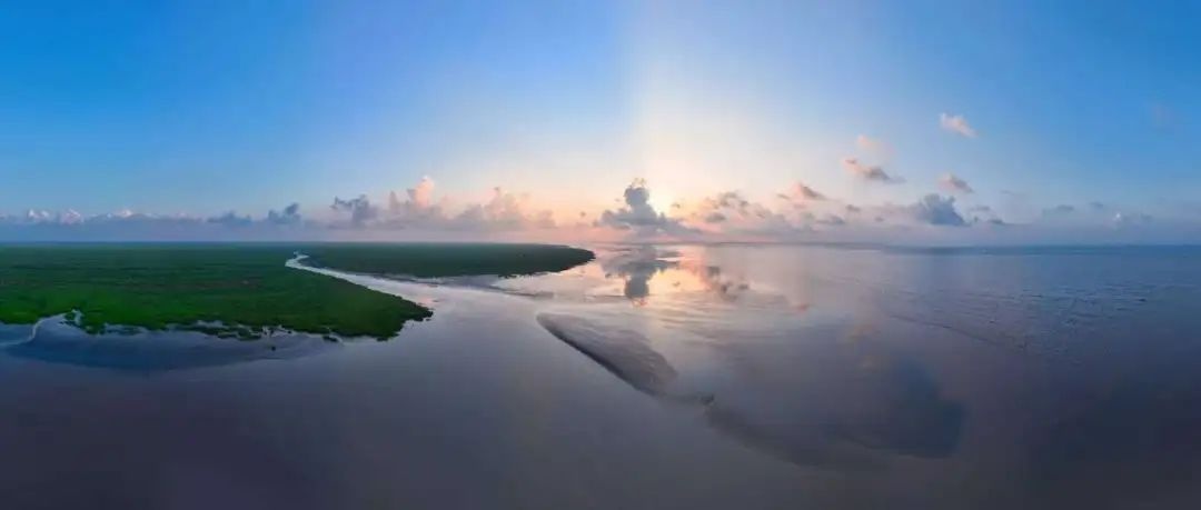 2025年2月2日！九段沙湿地巡展来袭，你会去吗?  第4张
