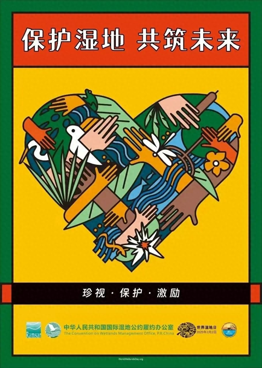 每年2月2日世界湿地日，全球40%物种依赖它？  第1张