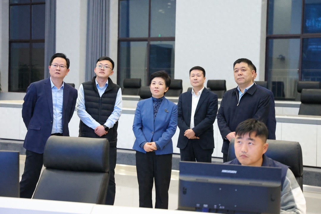 春节期间企业不停工忙生产！市长走访竟为了啥？  第1张