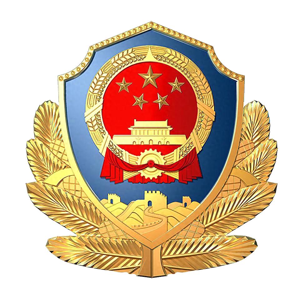 临夏市公安午夜守护行动：安全感像空气！你知道吗？  第1张