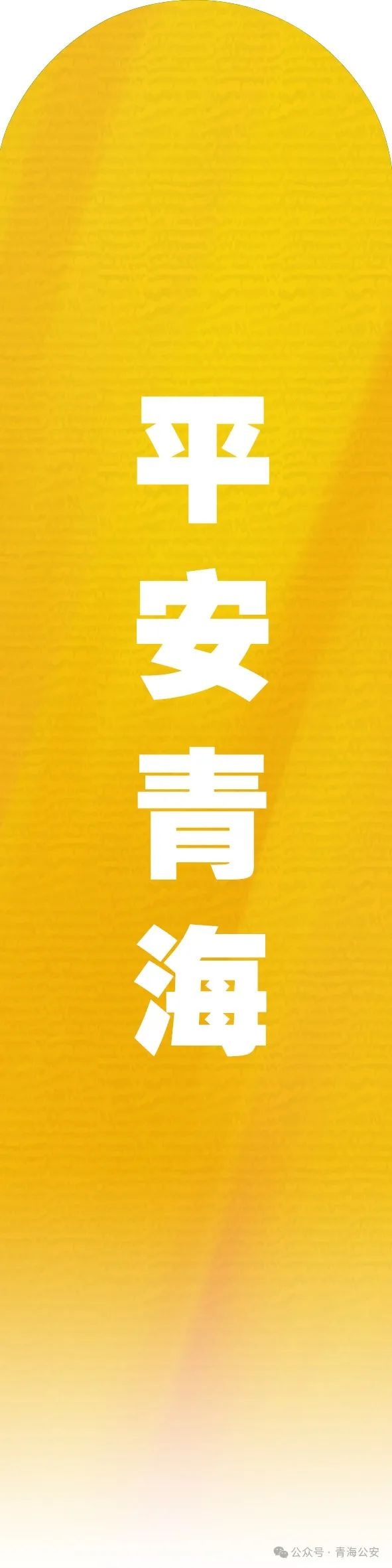 春运高峰来袭！西宁机场如何应对1.5万人次的客流挑战？  第5张