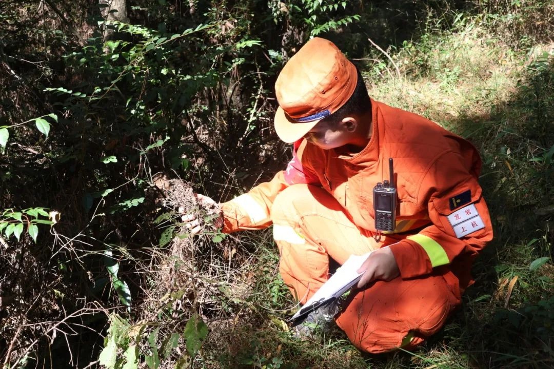 福建森林消防春节防火忙!他们如何筑牢安全墙?  第12张