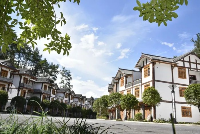 玉溪河畔晨练图景惊艳！道真人的幸福生活为何如此令人向往？  第4张