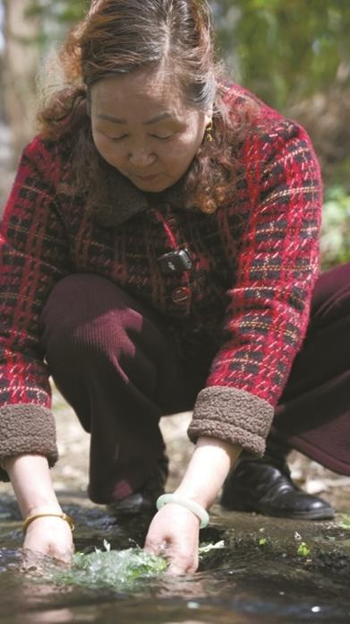 40年手艺传承！宁波东钱湖这家青团为何让上海北京顾客千里奔赴？  第2张