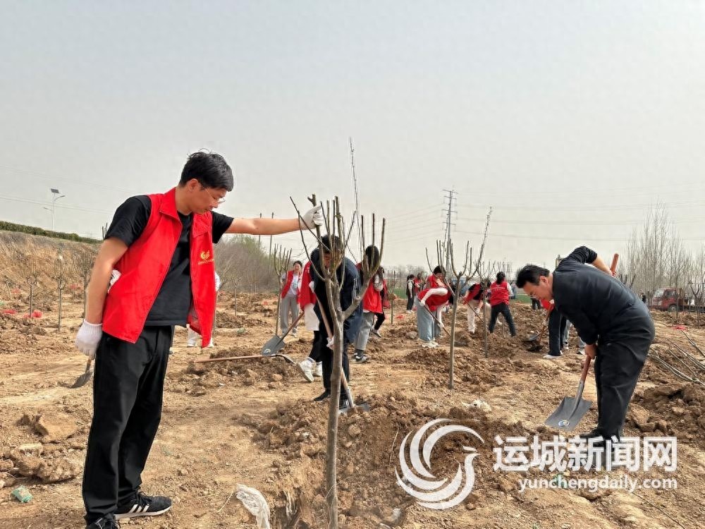 曾经垃圾四散的村口现要变绿林? 盐湖区的妙手回春!