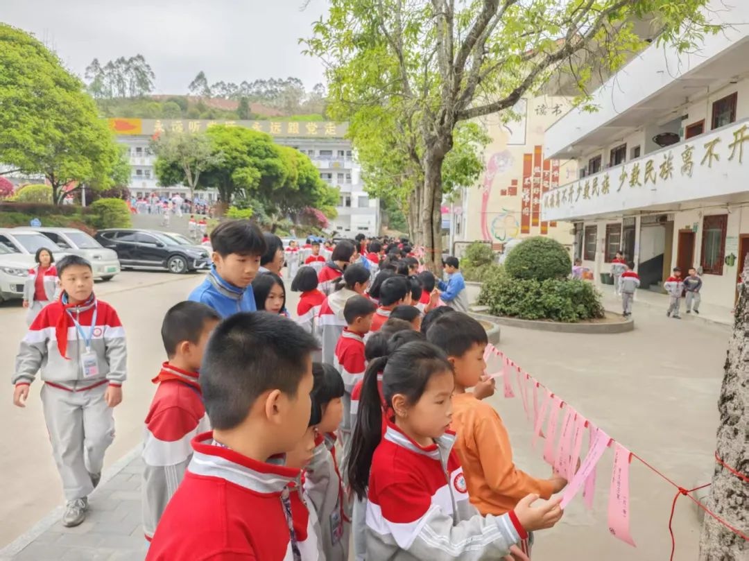 惊!2025年阳朔县共育石榴籽活动，到底有多精彩?  第5张