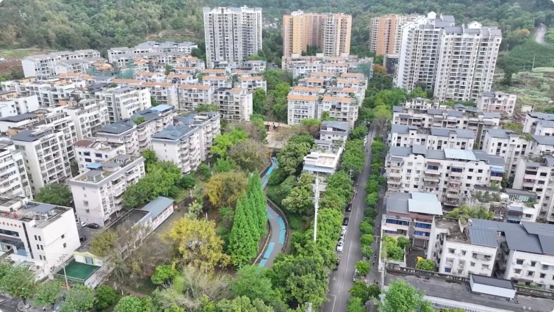 1200 株水生植物落户大足城区河道？这是如何实现生态修复的  第2张