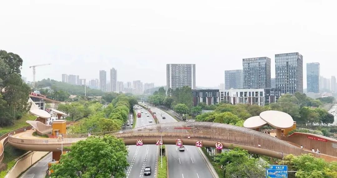5月1日启用！兼具功能与艺术的龙岗儿童公园空中连廊啥样？  第2张