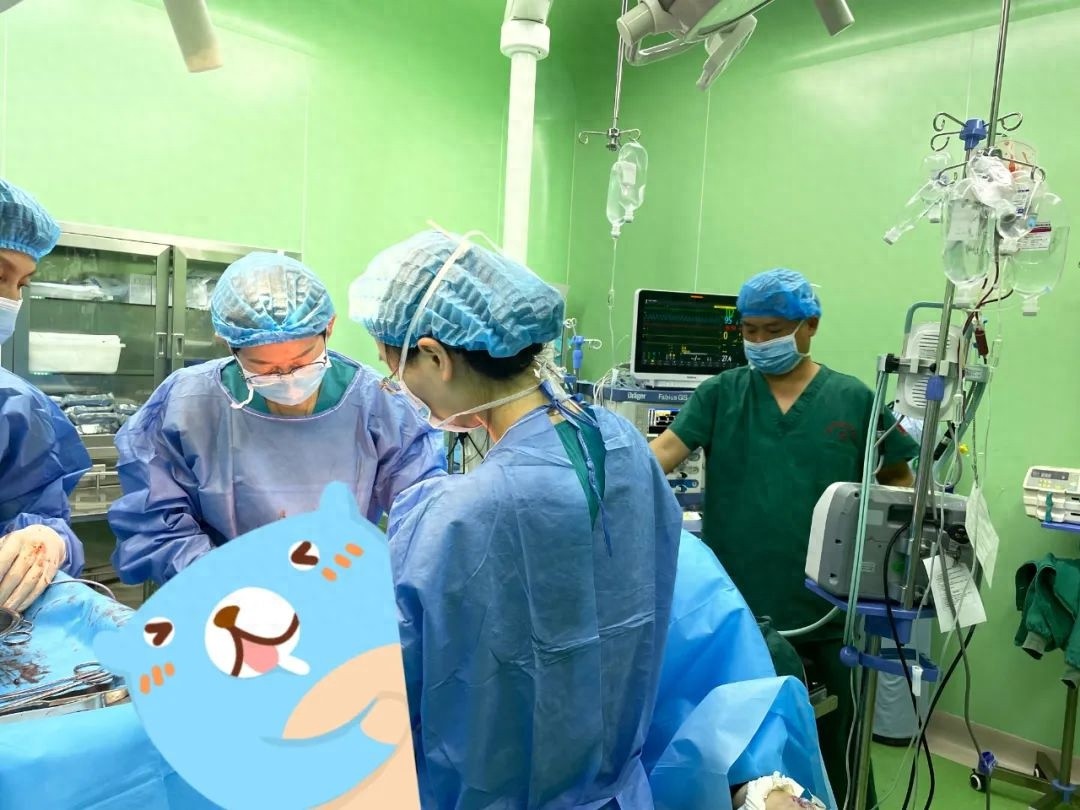 20多年坚守妇产科！产科主任宫青的从医路有多难？