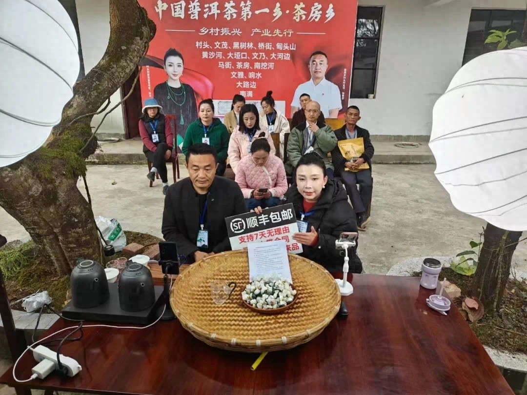 古老茶树遇新潮直播间！茶房乡这场产业变革有多震撼？